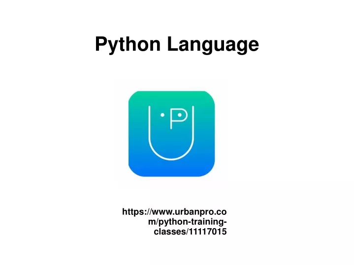 python language