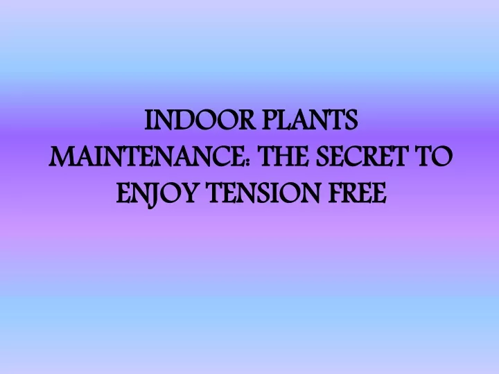 indoor plants maintenance the secret to enjoy tension free