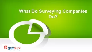 What Do Surveying Companies Do?