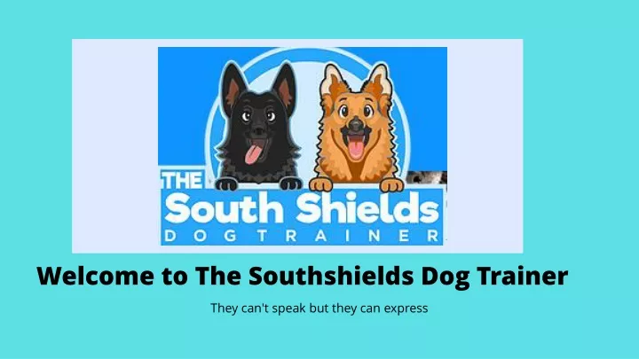 welcome to the southshields dog trainer