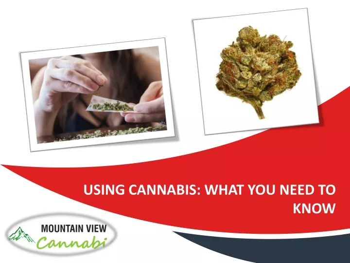 using cannabis what you need to