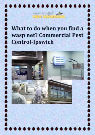 pest control Ipswich