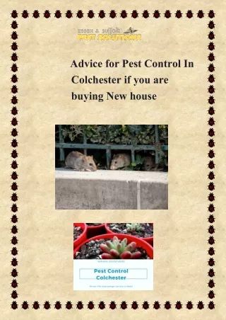 pest control Colchester