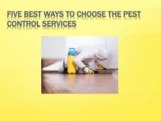 Five Best Ways to Choose the Pest Control Services