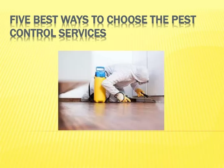 five best ways to choose the pest control services