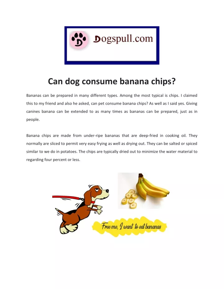 can dog consume banana chips