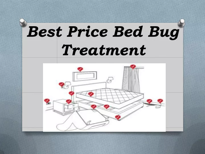 best price bed bug treatment