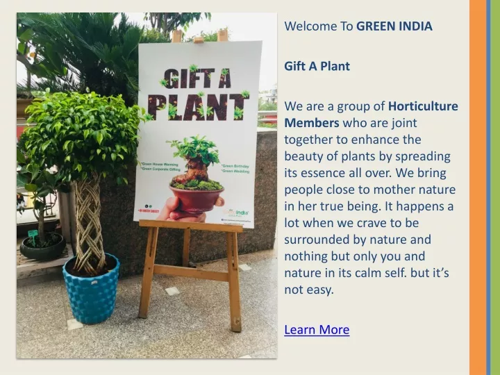 welcome to green india gift a plant