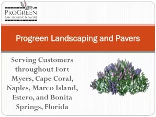 Irrigation services companies – Cape Coral | Progreen landscaping