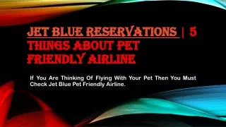 Complete Jet Blue Reservations Guide for Pet Travelling