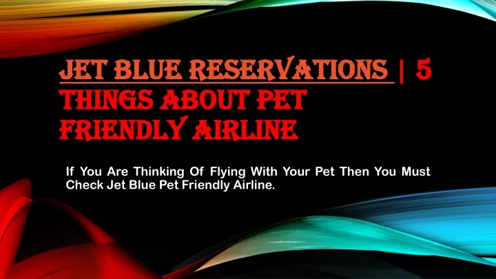 jet blue reservations 5 things about pet friendly airline