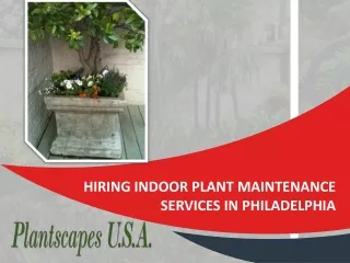 Hiring Indoor Plant Maintenance Services In Philadelphia