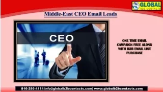 middle east ceo email leads