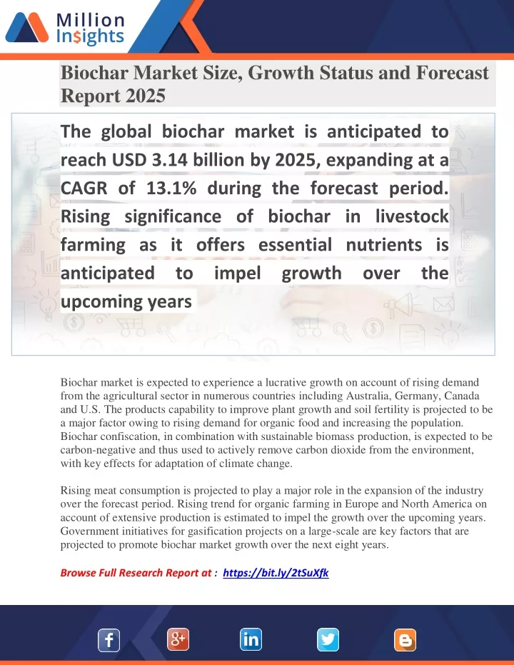biochar market size growth status and forecast