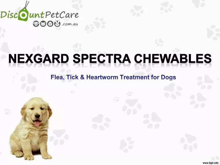 flea tick heartworm treatment for dogs