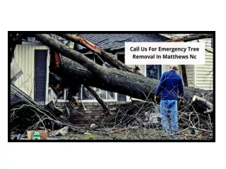 CALL US FOR EMERGENCY TREE REMOVAL IN MATTHEWS NC