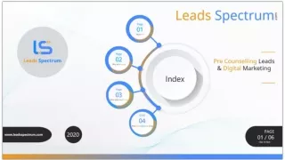 Company Overview - LeadsSpectrum