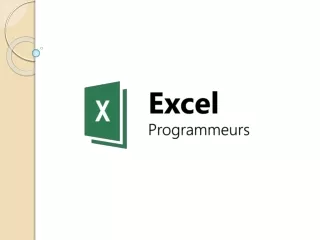 Excel Programmeur