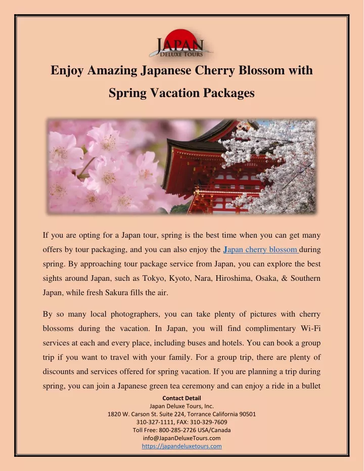 enjoy amazing japanese cherry blossom with