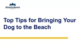 Top Tips for Bringing Your Dog to the Beach