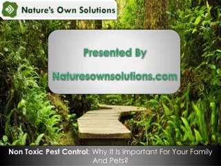 Non Toxic Pest Control: Why It Is Important For Your Family And Pets?