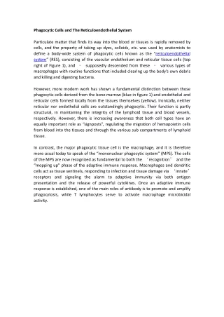 phagocytic cells and the reticuloendothelial