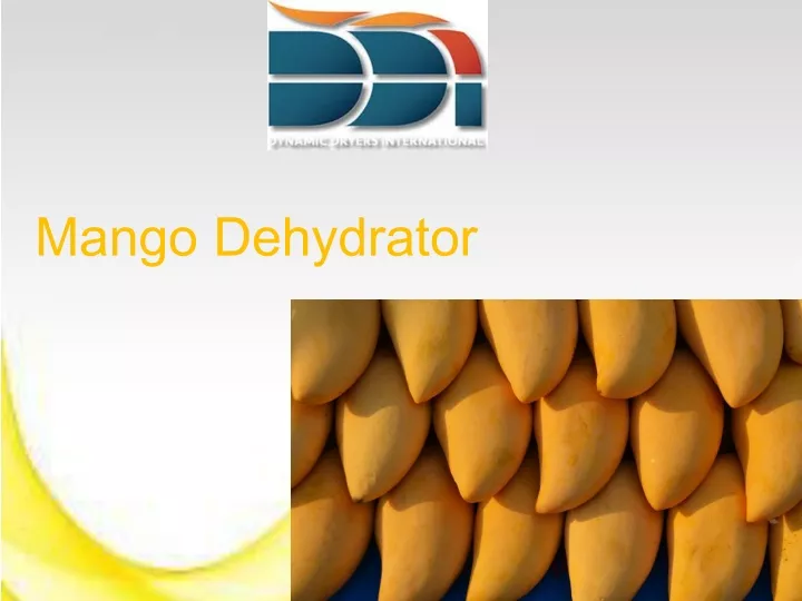 mango dehydrator