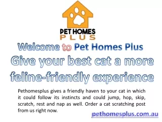 Give your best cat a more feline-friendly experience