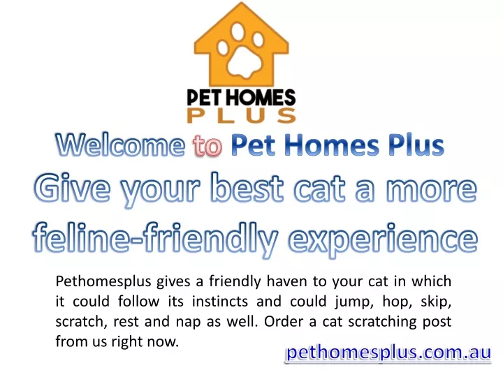 welcome to pet homes plus