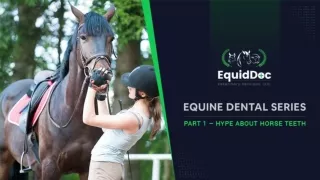 Equine Dentistry, Part1- Hype About Horse Teeth