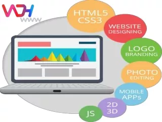 Web Designing company in delhi NCR