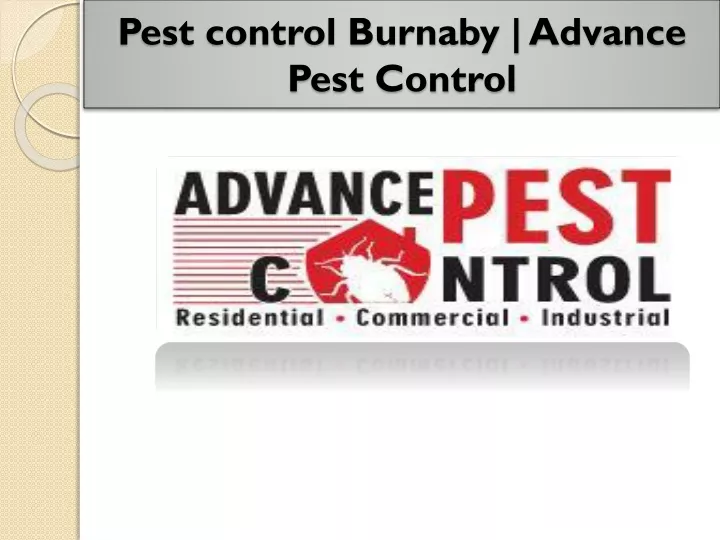 pest control burnaby advance pest control