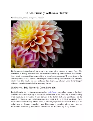 be eco friendly with sola flowers
