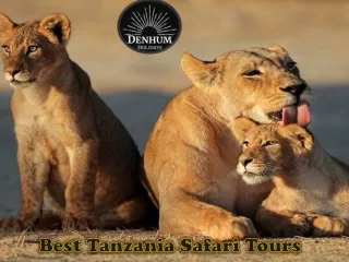 Best Tanzania Safari Tours