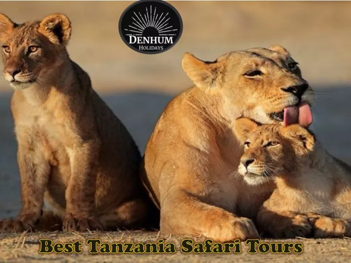 best tanzania safari tours