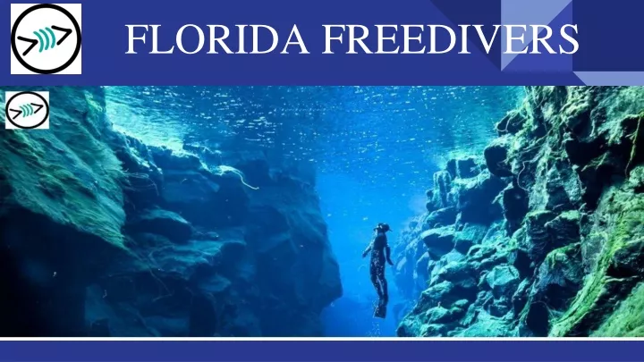 florida freedivers