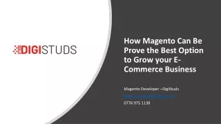 How Magento Can Be Prove the Best Option to Grow your E-Commerce Business