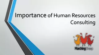 Importance of Human Resources Consulting