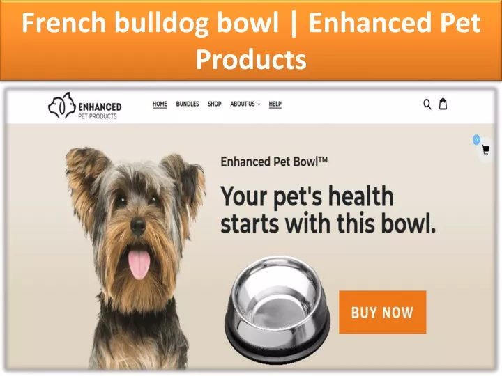 french bulldog bowl enhanced pet products