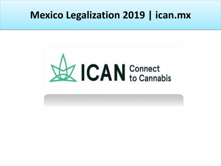 mexico legalization 2019 ican mx