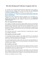 Why Select Background Verification Companies With Care - slide 1