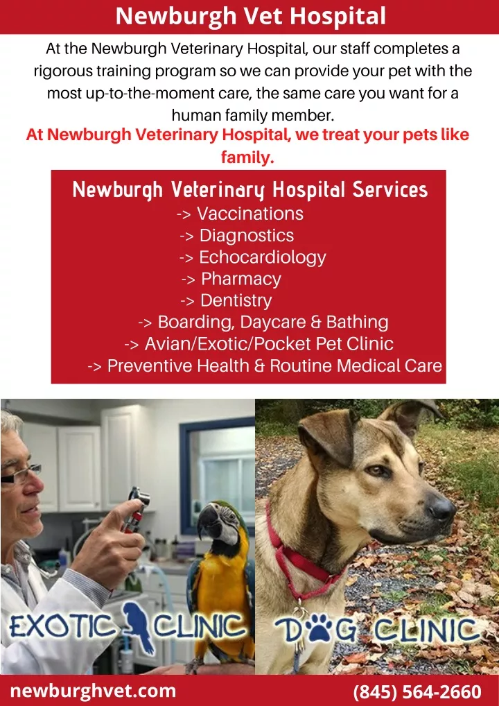 newburgh vet hospital