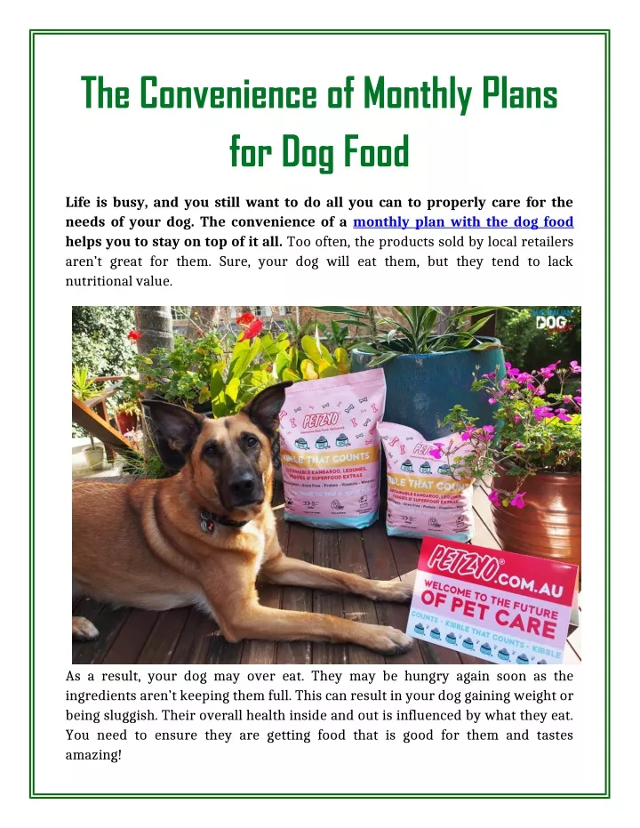the convenience of monthly plans for dog food