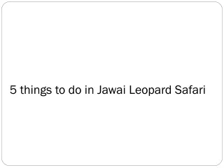 5 things to do in jawai leopard safari