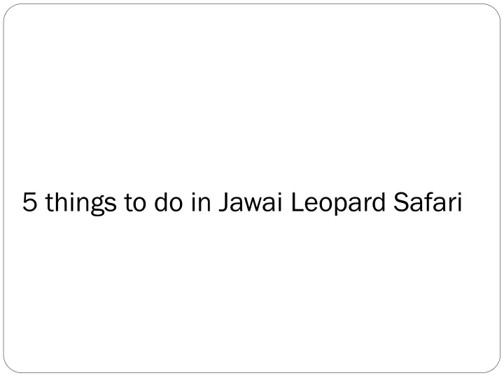 5 things to do in jawai leopard safari