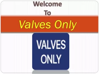 Safety Valve Manufacturer in Germany- Valves Only Europe