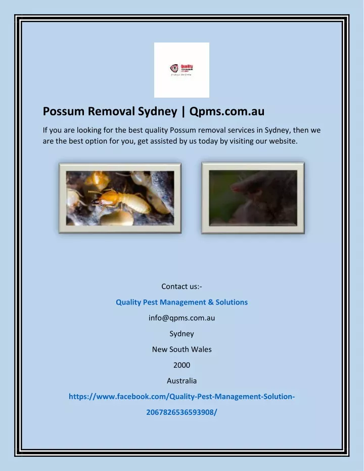 possum removal sydney qpms com au