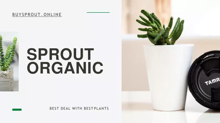 buysprout online
