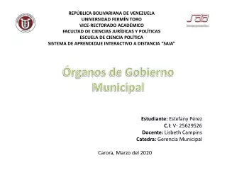 órganos de gobierno municipal