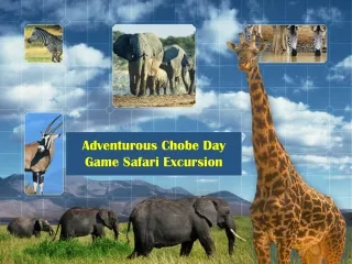 Adventurous Chobe Day Game Safari Excursion